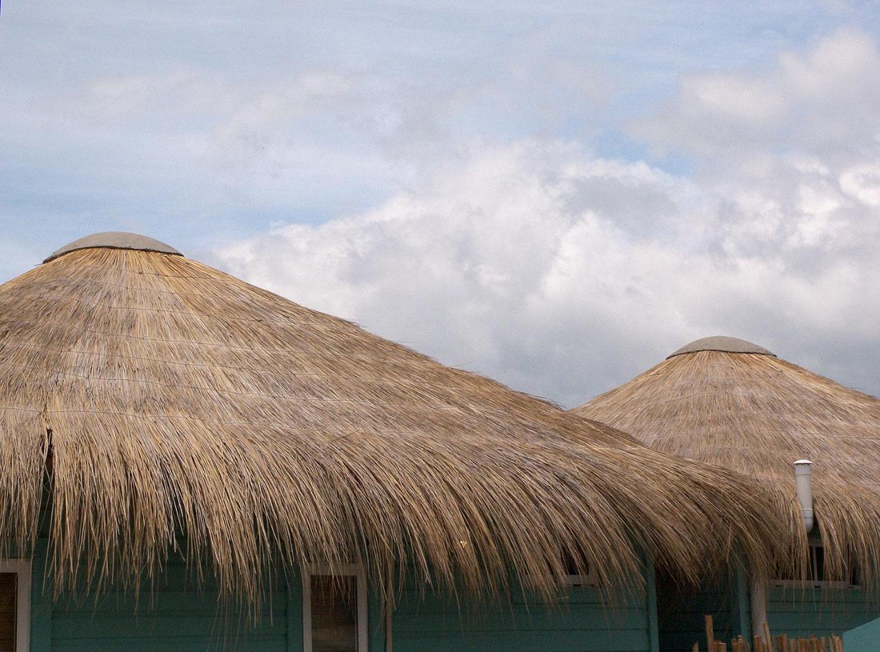 Casa Papaya Villa Punta Del Diablo Eksteriør bilde